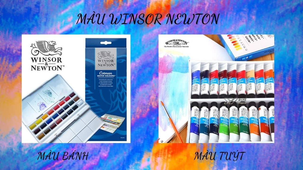 Màu Winsor Newton