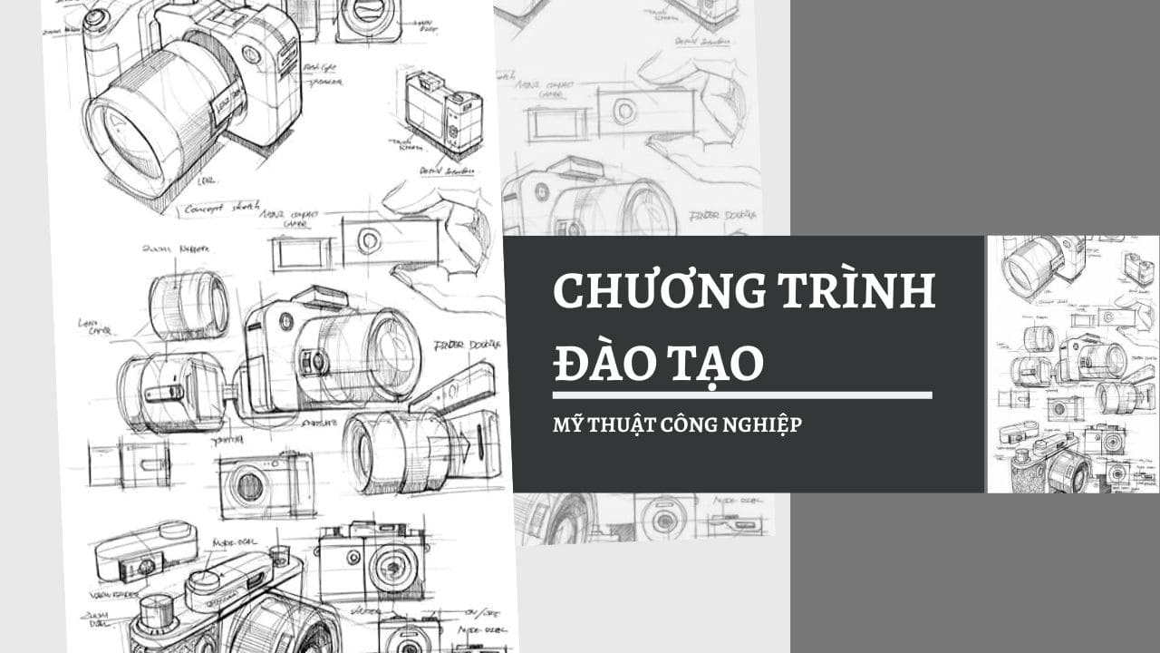 Chương trình đào tạo