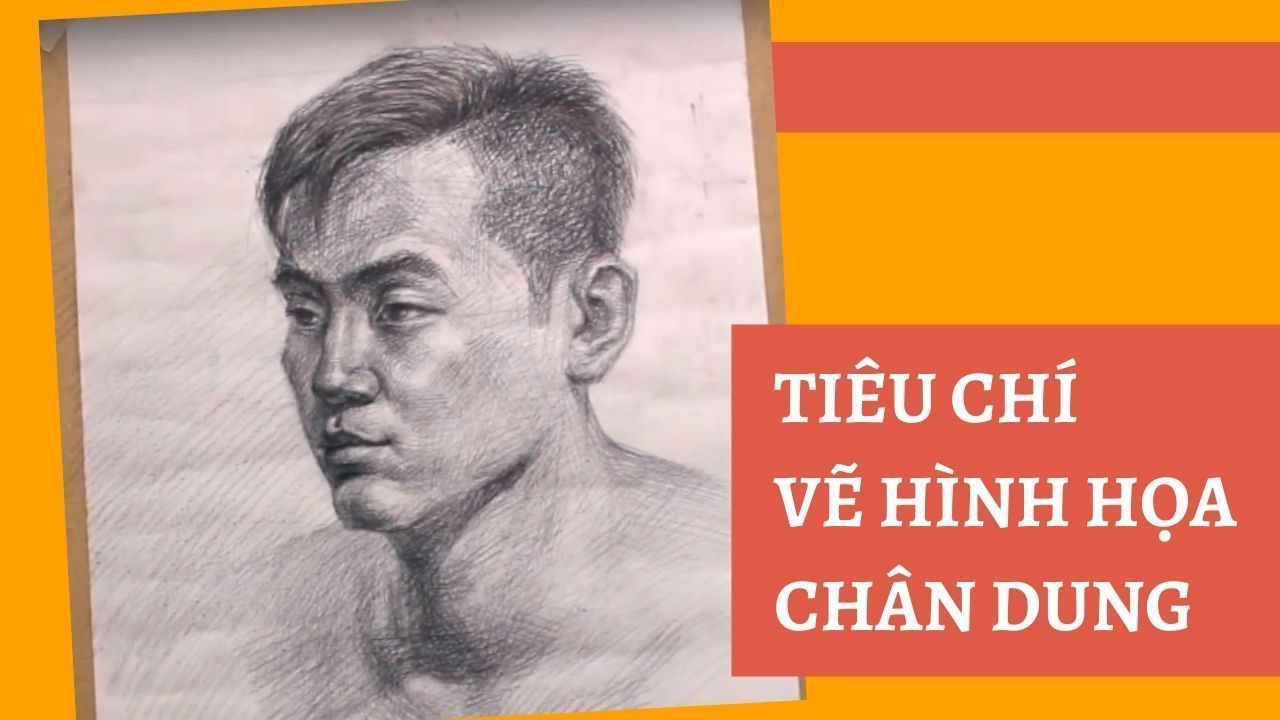 Luyện thi vẽ hình họa toàn thân, chân dung - Tiêu chí vẽ hình họa