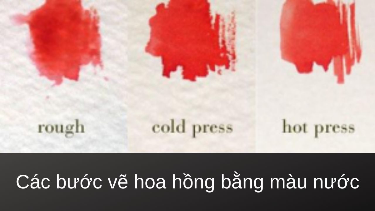 vẽ hoa hồng bằng màu nước