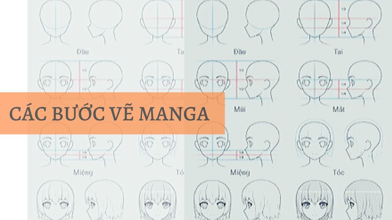 Các bước vẽ manga (Nguồn Pinterest)