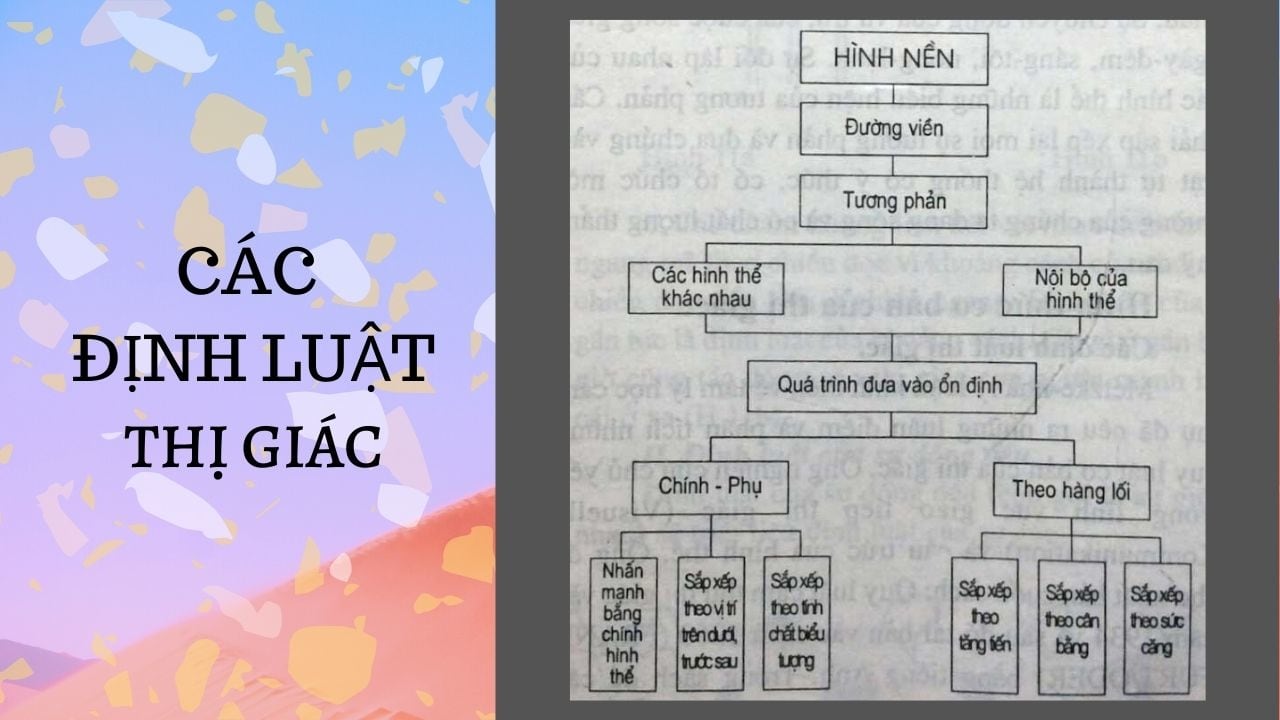 các định luật thị giác