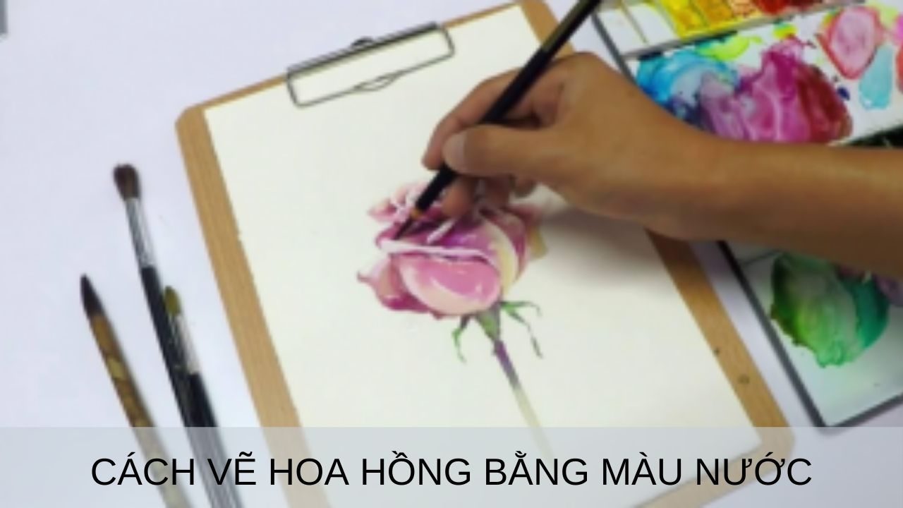 vẽ hoa hồng bằng màu nước